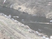 秩父フライフィールド 釣果