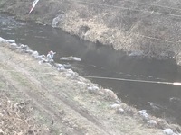 秩父フライフィールド 釣果