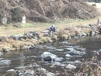 秩父フライフィールド 釣果