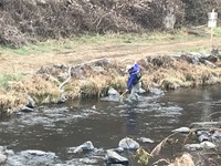 秩父フライフィールド 釣果