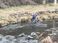 秩父フライフィールド 釣果