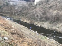 秩父フライフィールド 釣果