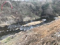 秩父フライフィールド 釣果