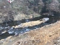 秩父フライフィールド 釣果