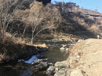 秩父フライフィールド 釣果