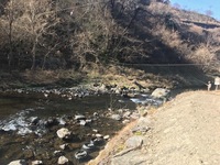 秩父フライフィールド 釣果