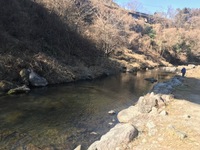 秩父フライフィールド 釣果