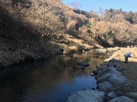 秩父フライフィールド 釣果