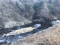 秩父フライフィールド 釣果