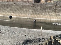 秩父フライフィールド 釣果