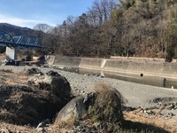 秩父フライフィールド 釣果