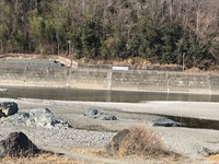 秩父フライフィールド 釣果