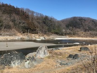 秩父フライフィールド 釣果