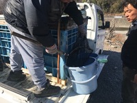 秩父フライフィールド 釣果