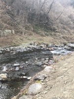 秩父フライフィールド 釣果