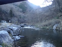 秩父フライフィールド 釣果