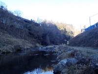 秩父フライフィールド 釣果