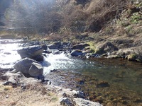 秩父フライフィールド 釣果