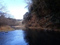 秩父フライフィールド 釣果