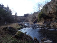 秩父フライフィールド 釣果