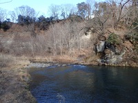秩父フライフィールド 釣果