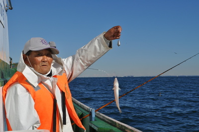 根岸丸 釣果