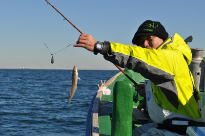 根岸丸 釣果