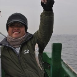 根岸丸 釣果