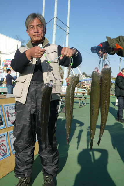 としまえんフィッシングエリア 釣果