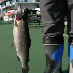 としまえんフィッシングエリア 釣果