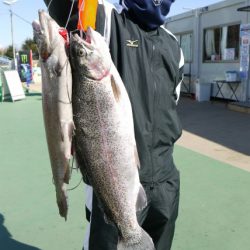 としまえんフィッシングエリア 釣果