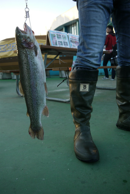 としまえんフィッシングエリア 釣果