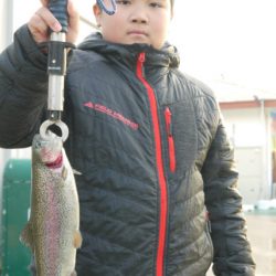 としまえんフィッシングエリア 釣果