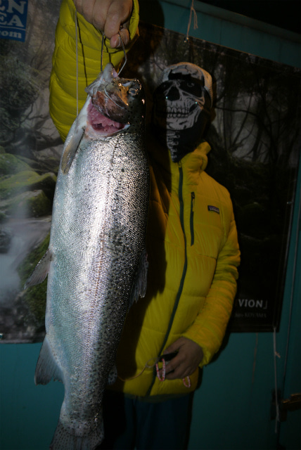 としまえんフィッシングエリア 釣果