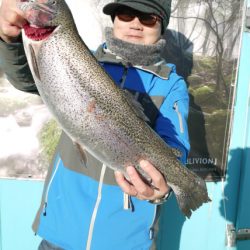 としまえんフィッシングエリア 釣果