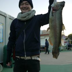としまえんフィッシングエリア 釣果