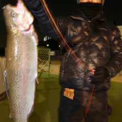 としまえんフィッシングエリア 釣果