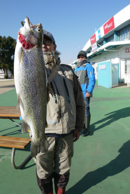 としまえんフィッシングエリア 釣果
