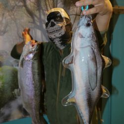 としまえんフィッシングエリア 釣果