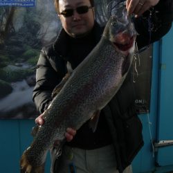 としまえんフィッシングエリア 釣果