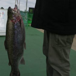 としまえんフィッシングエリア 釣果