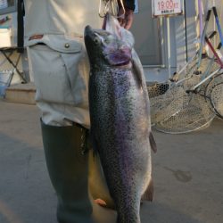 としまえんフィッシングエリア 釣果