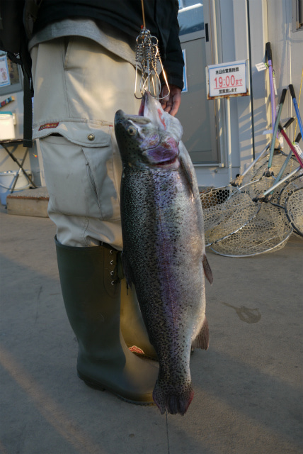 としまえんフィッシングエリア 釣果
