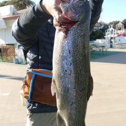 としまえんフィッシングエリア 釣果