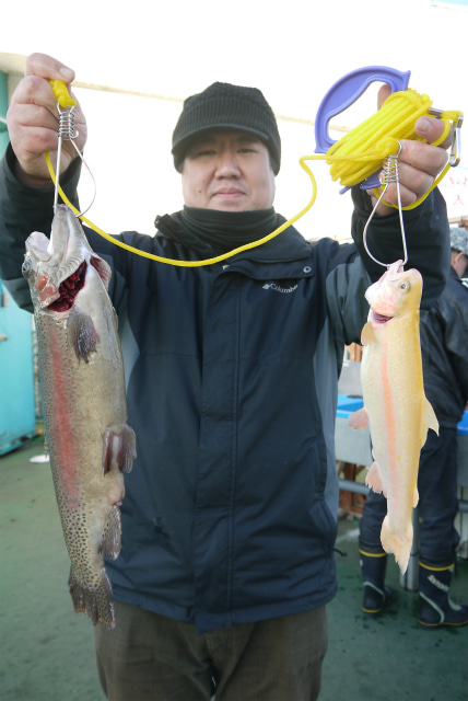 としまえんフィッシングエリア 釣果