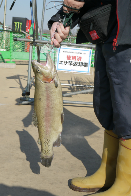 としまえんフィッシングエリア 釣果