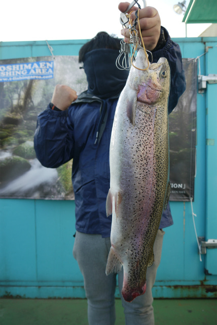 としまえんフィッシングエリア 釣果