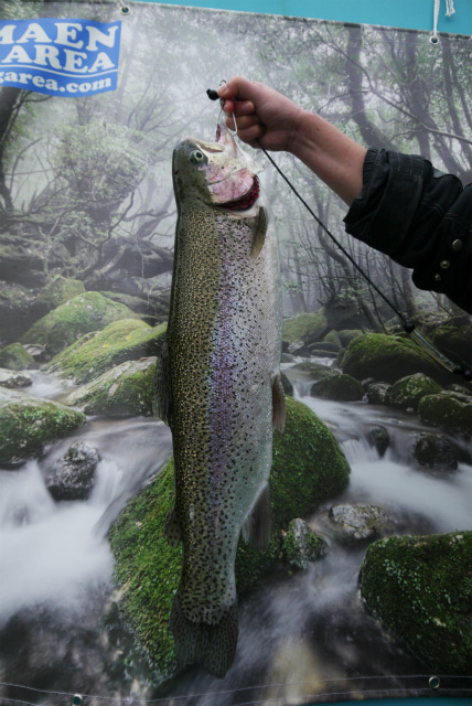 としまえんフィッシングエリア 釣果