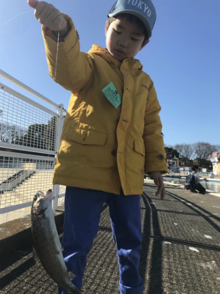 としまえんフィッシングエリア 釣果