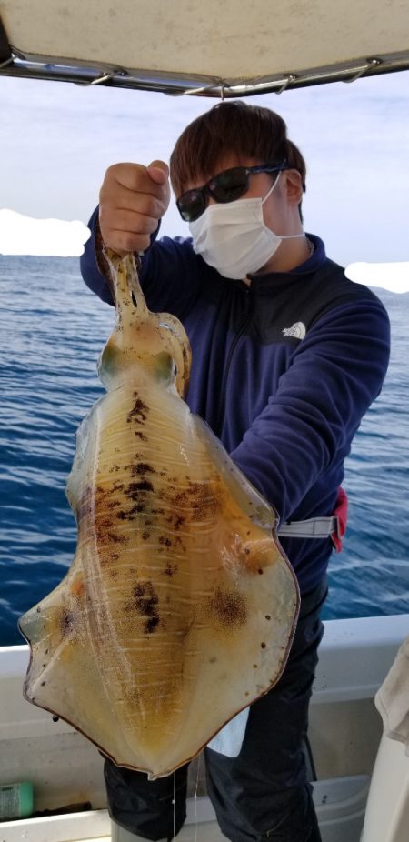 ソルトウォーターガイドフレンズ 釣果